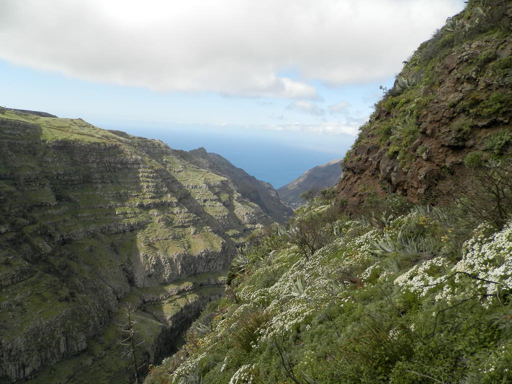 Wanderung von Arure nach  El Cercado, Calera